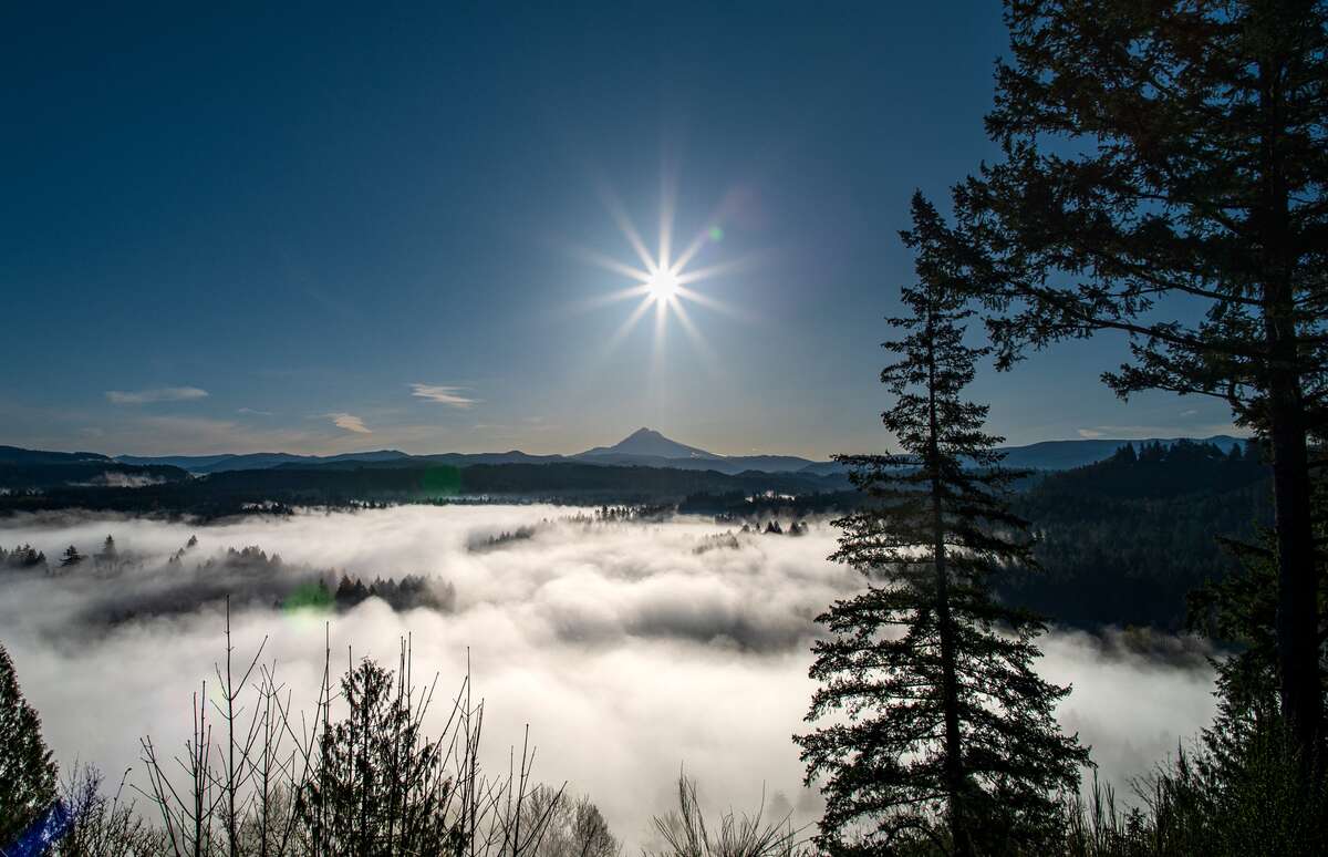 Mt. Hood