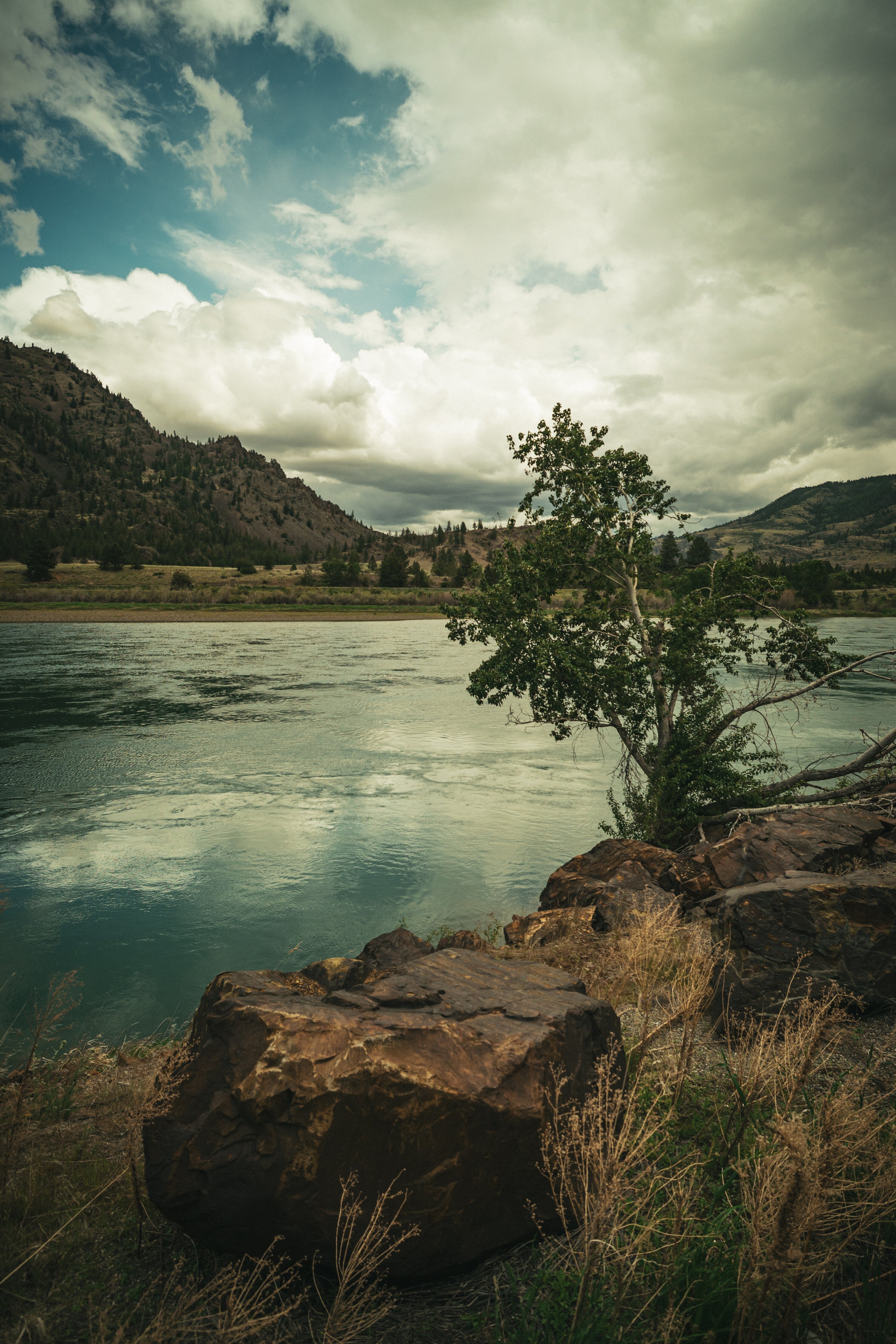 Montana Rocks